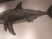 Ђł񂳂MieMu Odق̓eʐ^1