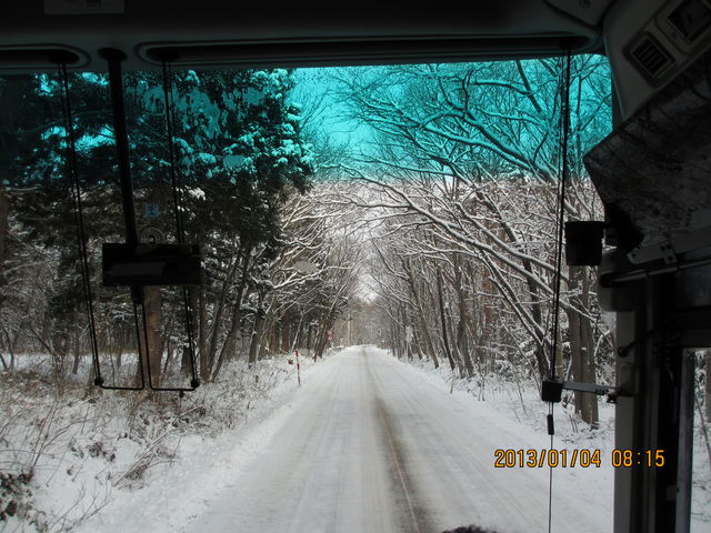 ���ɂ���ē~�͕�_�����G�R�[���C��