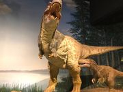 킳̃~[WAp[N錧Rق̓eʐ^1