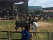 �킩�ԁ[����̗^�ߍ�������̓��e�ʐ^1