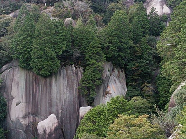 �f�G�Ȍi�F�ł�_�S�����