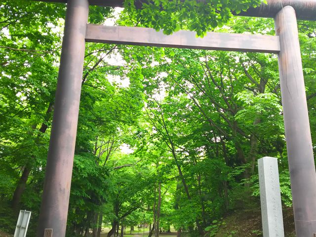 �������������ĎU��ł�_�~�R����