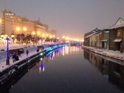 topologỷ^͂ƐΑqɌQ̓eʐ^1