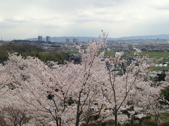 �����炵�������ł��B_�ےË�