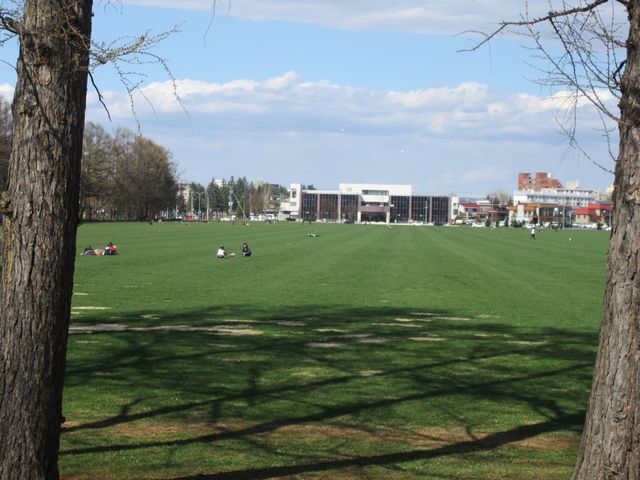 �L���ł�_�΃��u�����E�O���[���p�[�N�i400m�x���`�j