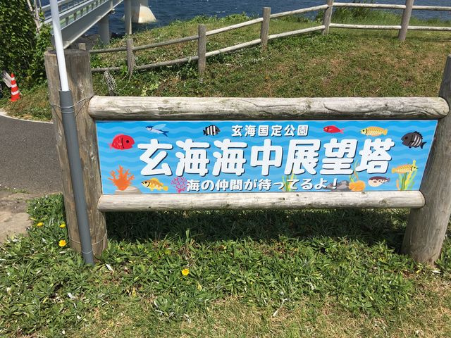 ���C�C�������B_���C�C������