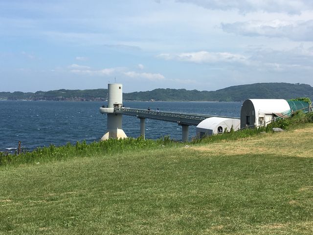 ���C�C���W�]���B_���C�C������