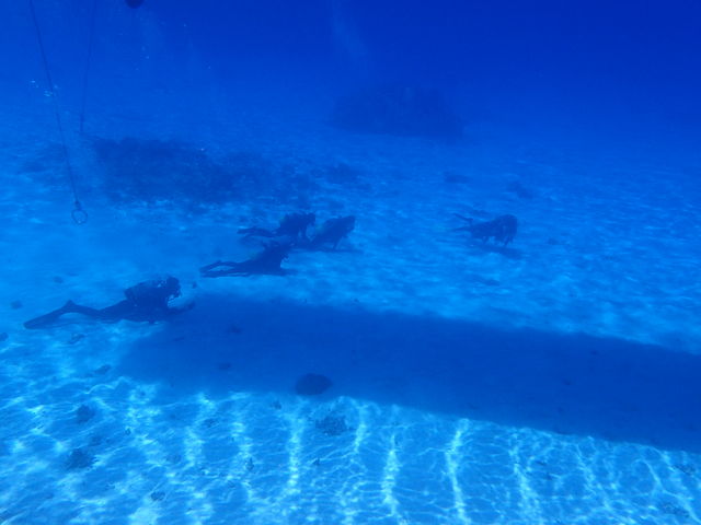 �q�����D�������ł���悤���Ɗ����̓����x_�_�C�r���O�T�[�r�X�ɊC