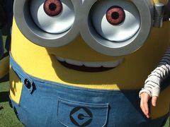 jo[TEX^WIEWpiUSJj̎ʐ^1