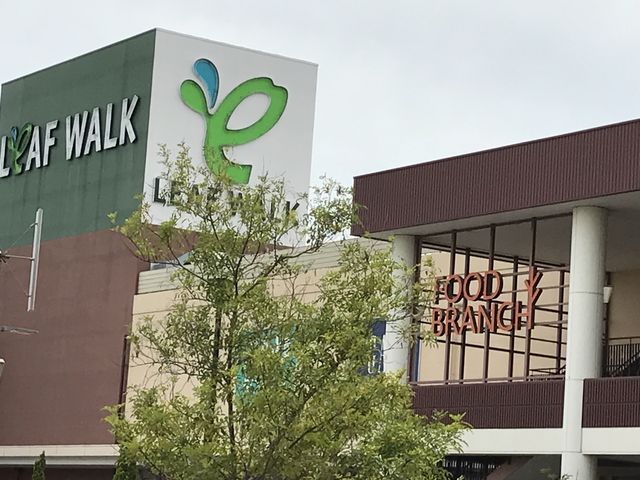 choco̖ˏEƂ񂩂@Ԃ X̓eʐ^1