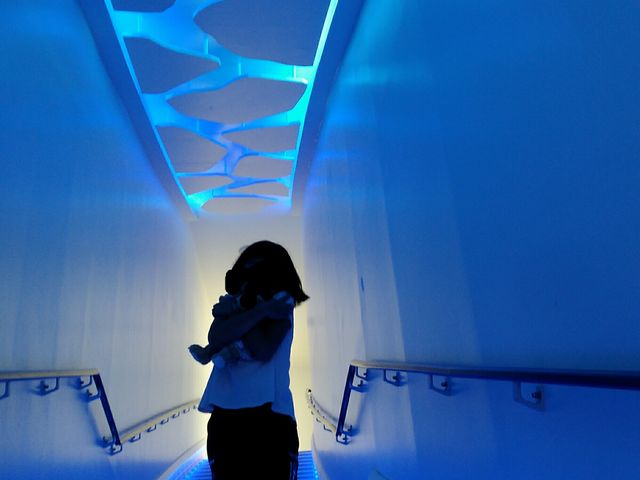 ����_�I�z�[�c�N���X��