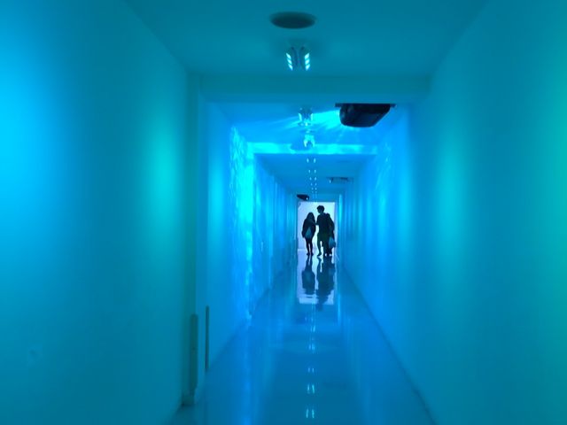 ���̒��ɓ������݂�����_�V���g���[�[�@���B�H��