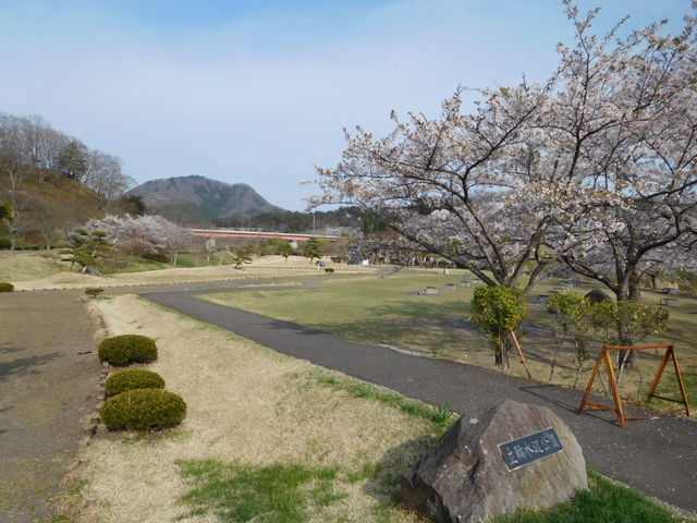 �t�ɂ͍����炫�A��������̃o�[�x�L���[�q�Ő���オ��܂��B_���c�X�ΔȌ���