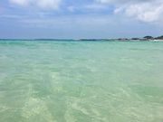 Roy̓y䃖lC݂̓eʐ^1