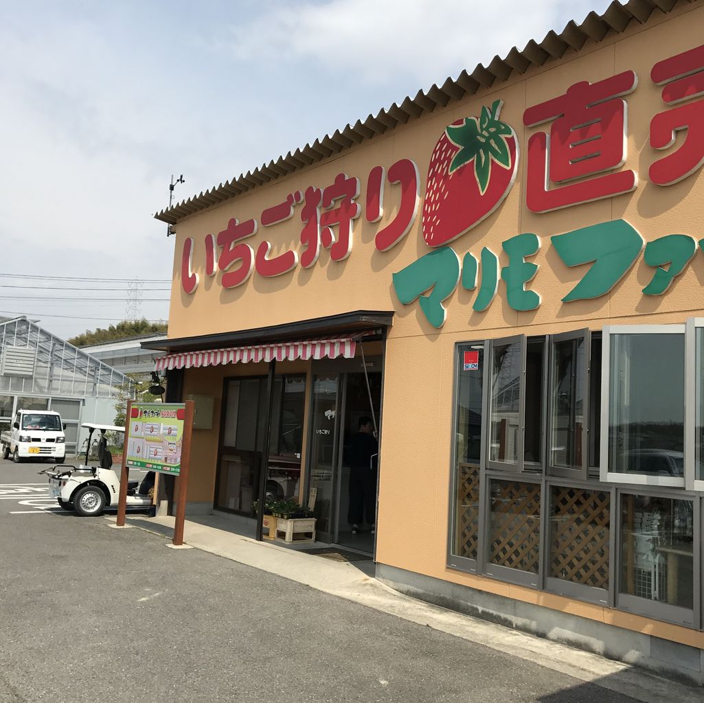 知多のいちご狩りランキングtop10 じゃらんnet
