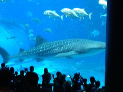 sawasawåЃZAu[ւ̓eʐ^1