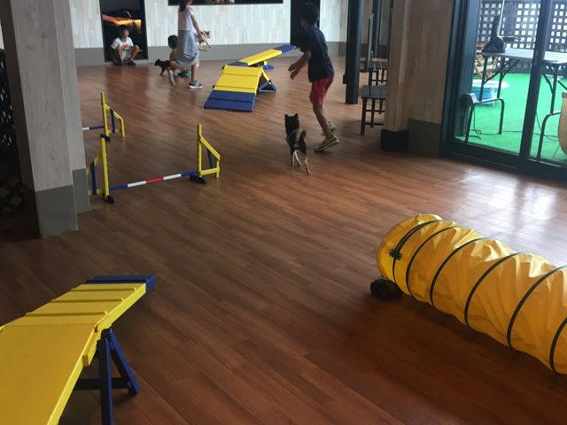 ���܂��܍s�������͉J���~���Ă���A�󂢂Ă��܂����B_�����̉w