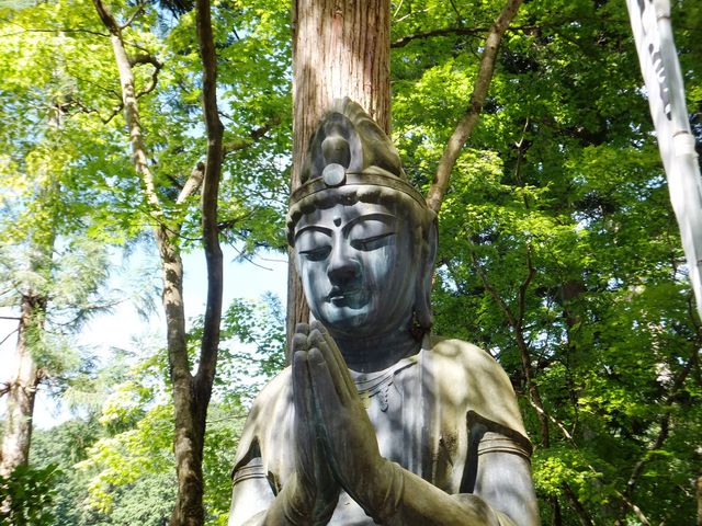 {O̊ωlFl܂ADĂ܂B_JR@،