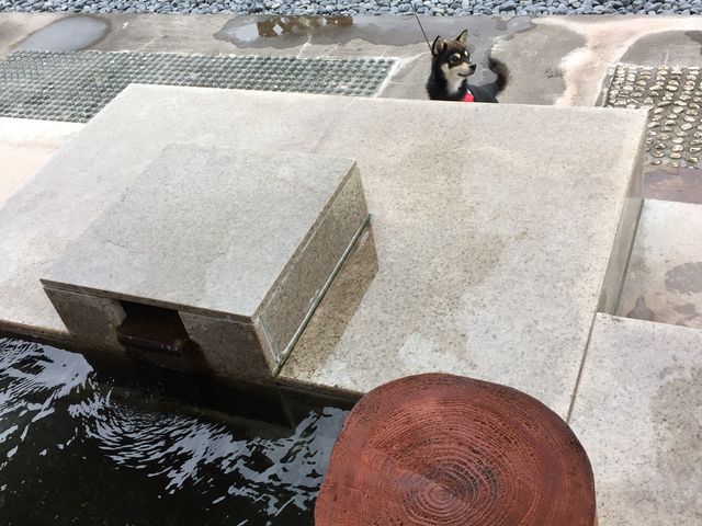 �����B�M�����Ȃ��̂ł��q�l�ɂ���_���̉w �����܋�