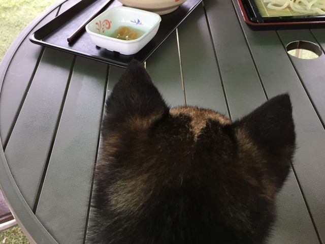 ���ǂ�A�������������ł��B_���̉w �����܋�