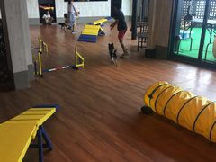 taka����̈����̉w�ւ̓��e�ʐ^1