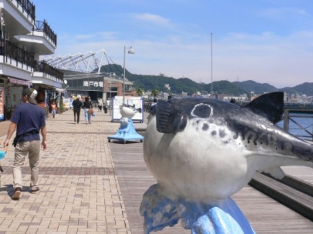 �J�������[�t���΂Ń��P�[�V�����������ł�_���ˎs��i���������n�֊X�j