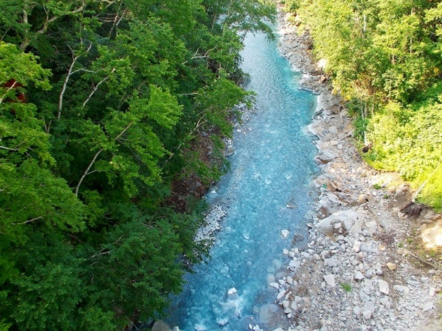 ���Ђ��̑�