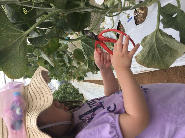 �͂��߂Ẵ��������ł����B���ꂼ��d��������Ă��āA�����őI�񂾂��̂Ɉ����������Ă��܂����B_�����܃n�[�x�X�g