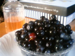 Ђ݂̃o[TCh^ւ̓eʐ^1