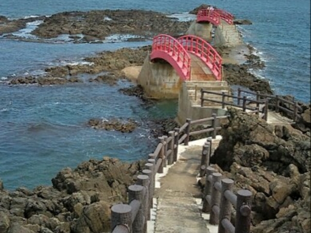 �i�F�������ł�_�����