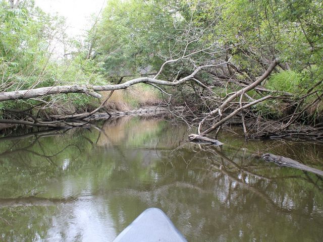 �M���M���̂Ƃ����ʂ�܂��B�Ԃ����Ă���O���[�v������悤�ł��B_������ЃJ�k�[�v��