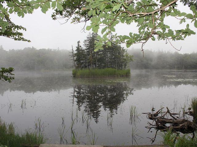 oČzIɁBqO}ꂻŃhLhLĂ܂B_ijmlC`[ItBX