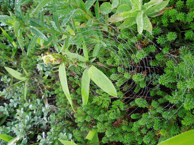 �z�\�o�m�L�\�`�h���ƒw偂̑�_����