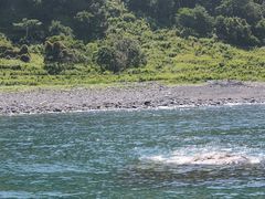 т䂣̃SWό@JCbJN[U[mEgN[Yւ̓eʐ^1