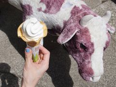 XJCu[̂̂ڂׂ_قւ̓eʐ^1