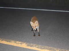 т䂣̒mmēւ̓eʐ^1