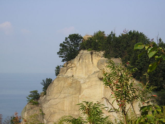 ܂̂̔ΓiR}sj̓eʐ^1