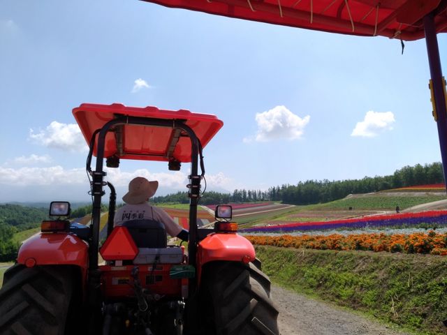 �i�F_�l�G�ʂ̋u