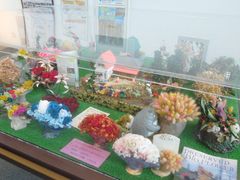 �T�r�L����̃t�����[�p�[�N�]��ւ̓��e�ʐ^1