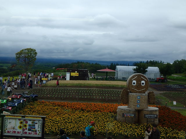 2F���X�g��������̒��]_�l�G�ʂ̋u