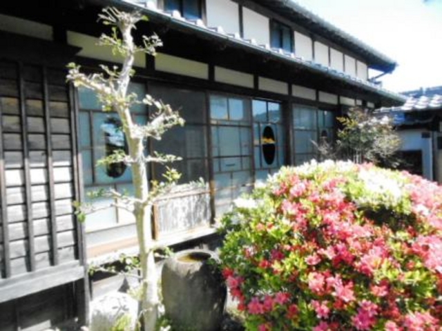 �ۑ�����Ă��閯��_�������ӂ̂₷�炬�p�[�N