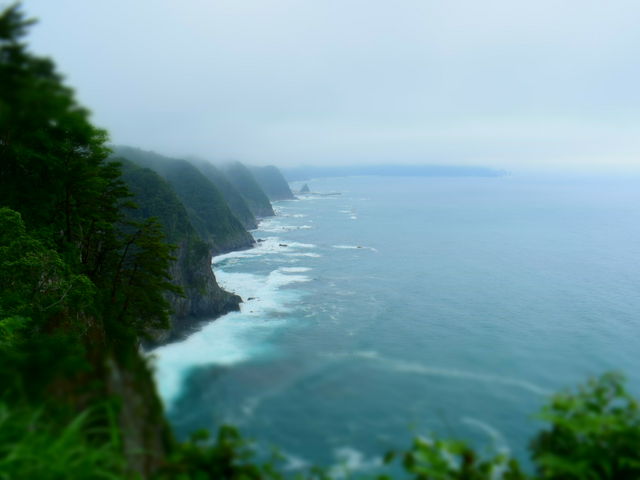 �L�̑��f�R_�L�̑��f�R�W�]��