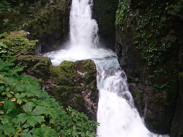 �ʐ^�������Ȃ蔗�͂�����܂�_����̑�߂���