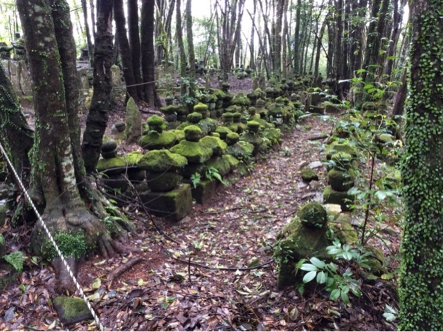 JOE����̏������Ó���Q�̓��e�ʐ^1