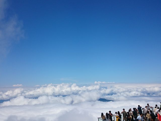 �����̂ސ�i�ł����B_�����X�L�[�p�[�N