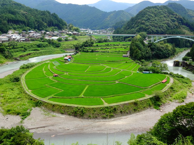 あらぎ島_あらぎ島