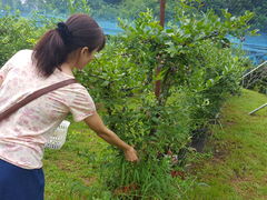 �܂邯�񂳂�̃n�b�s�[�x���[�_���ւ̓��e�ʐ^1