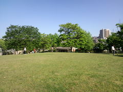 korikoriڊyւ̓eʐ^1