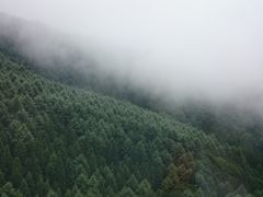 ꂨ񂳂̗}Ee][gւ̓eʐ^3