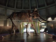 䂫̒ރiE}ۋLOق̓eʐ^1